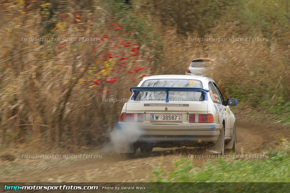 örm - Samstag - 131109-Wald4-10-GW-9431