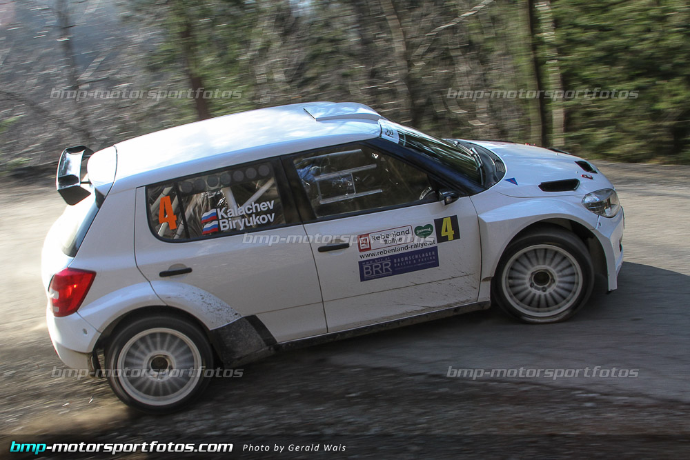Gerald Wais - Freitag - 130322-Reben-02-GW-4087