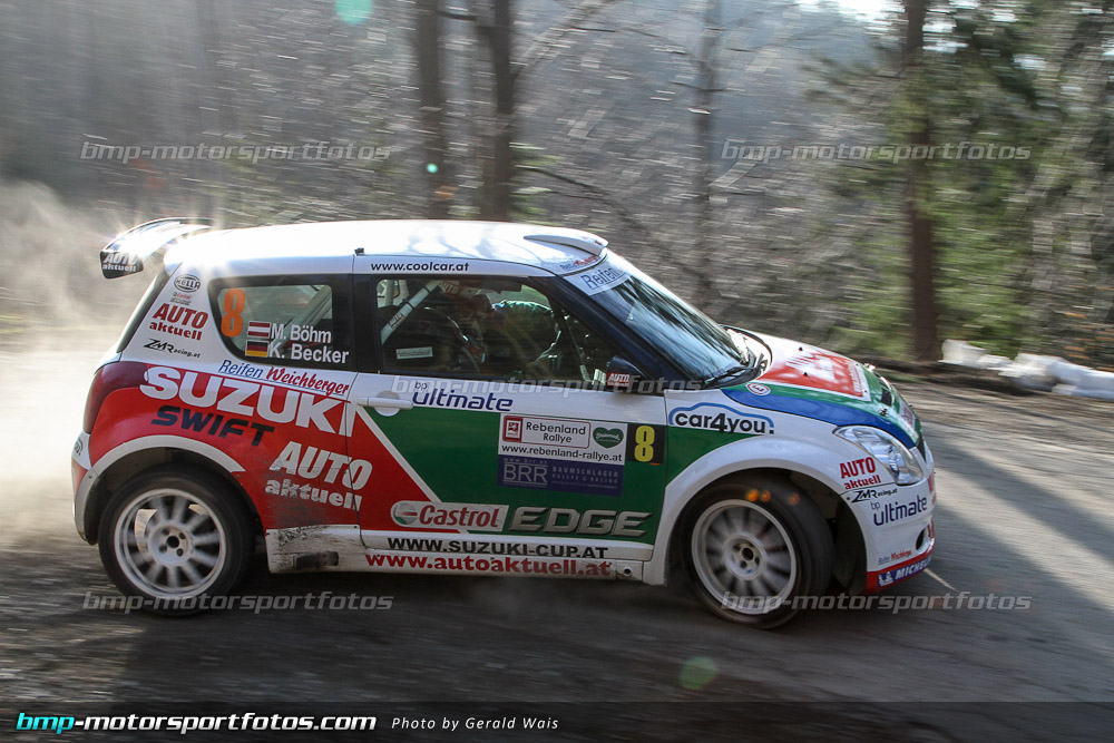 Gerald Wais - Freitag - 130322-Reben-02-GW-4099