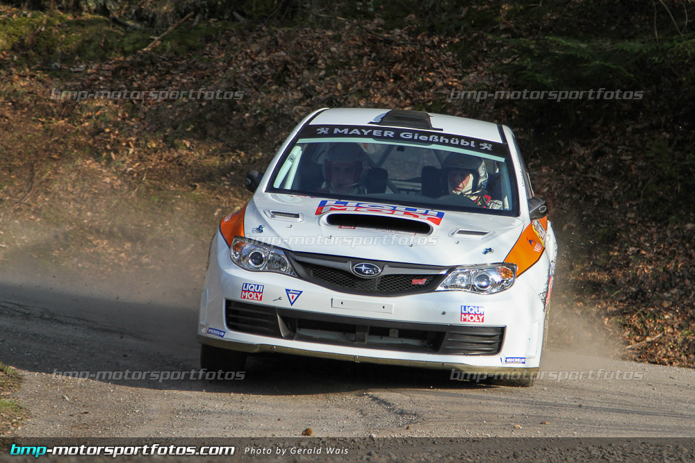 Gerald Wais - Freitag - 130322-Reben-02-GW-4144