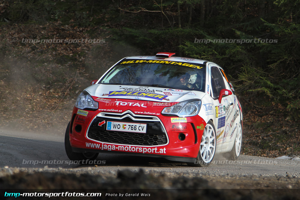 Gerald Wais - Freitag - 130322-Reben-02-GW-4173