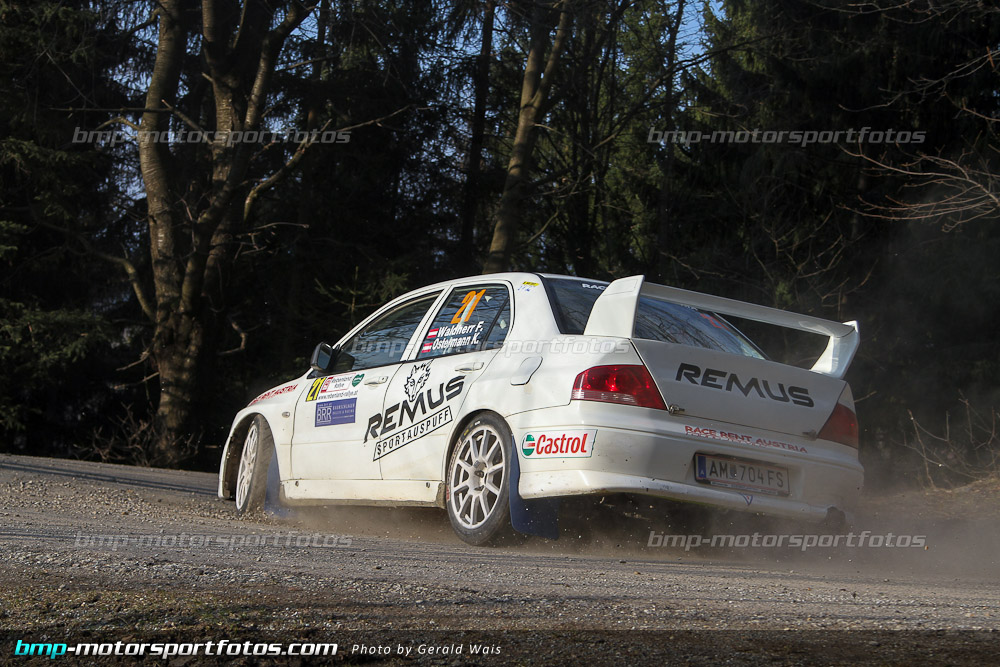 Gerald Wais - Freitag - 130322-Reben-02-GW-4191