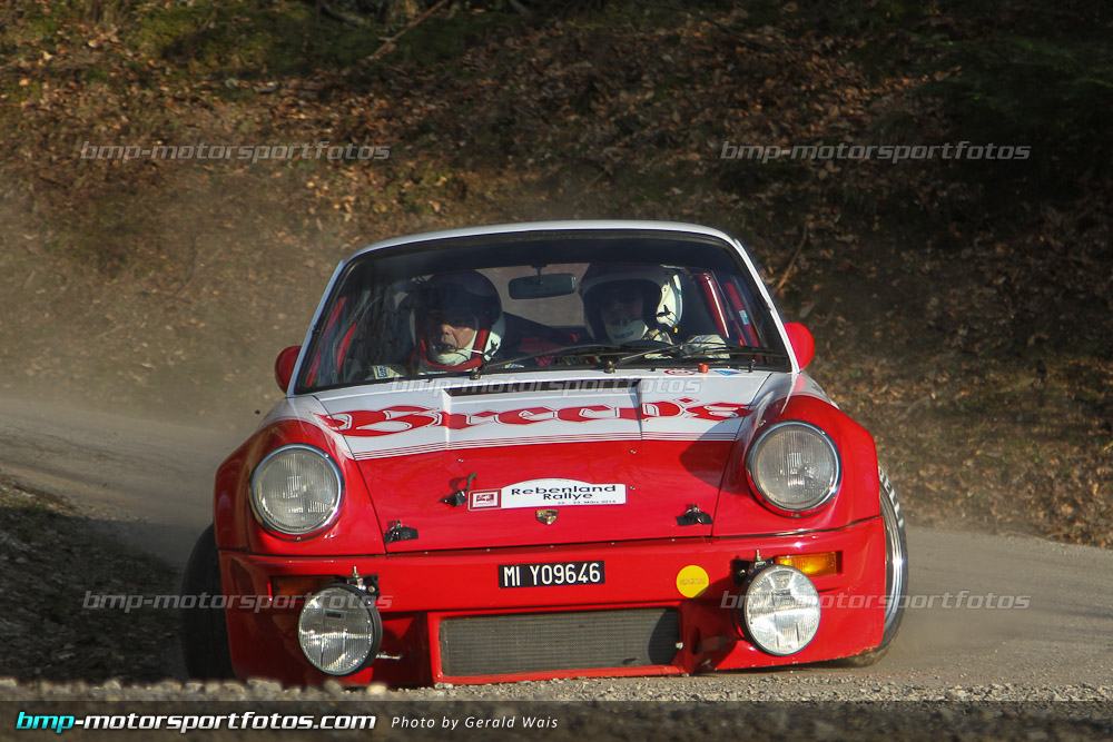 Gerald Wais - Freitag - 130322-Reben-02-GW-4249