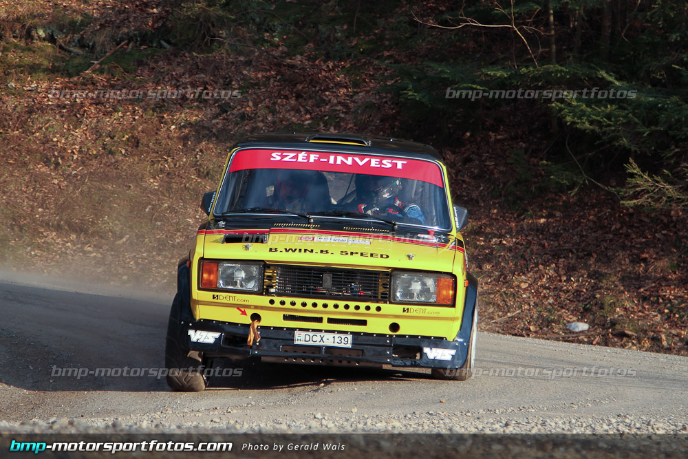Gerald Wais - Freitag - 130322-Reben-02-GW-4352