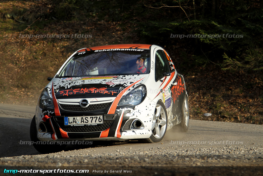 Gerald Wais - Freitag - 130322-Reben-02-GW-4363