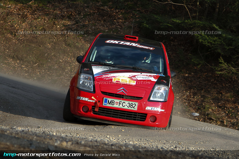 Gerald Wais - Freitag - 130322-Reben-02-GW-4375