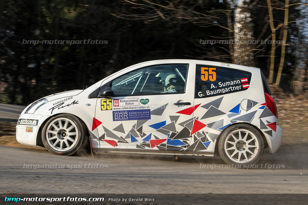 Gerald Wais - Freitag - 130322-Reben-02-GW-4466