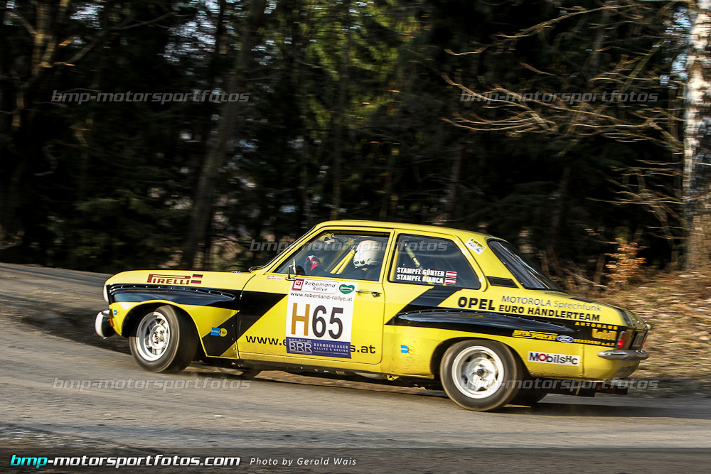 Gerald Wais - Freitag - 130322-Reben-02-GW-4532