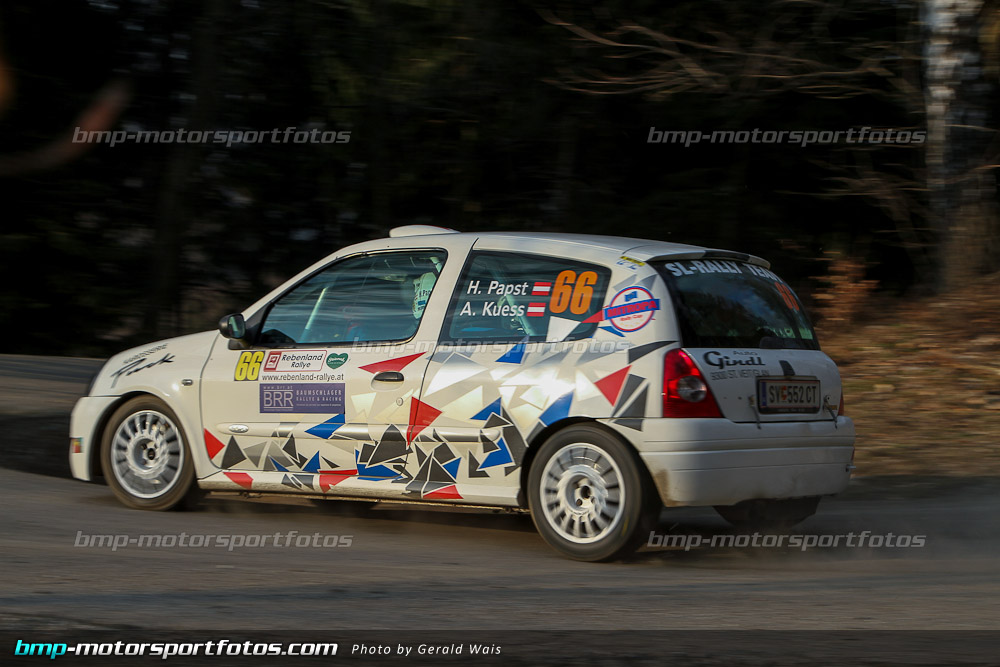 Gerald Wais - Freitag - 130322-Reben-02-GW-4537