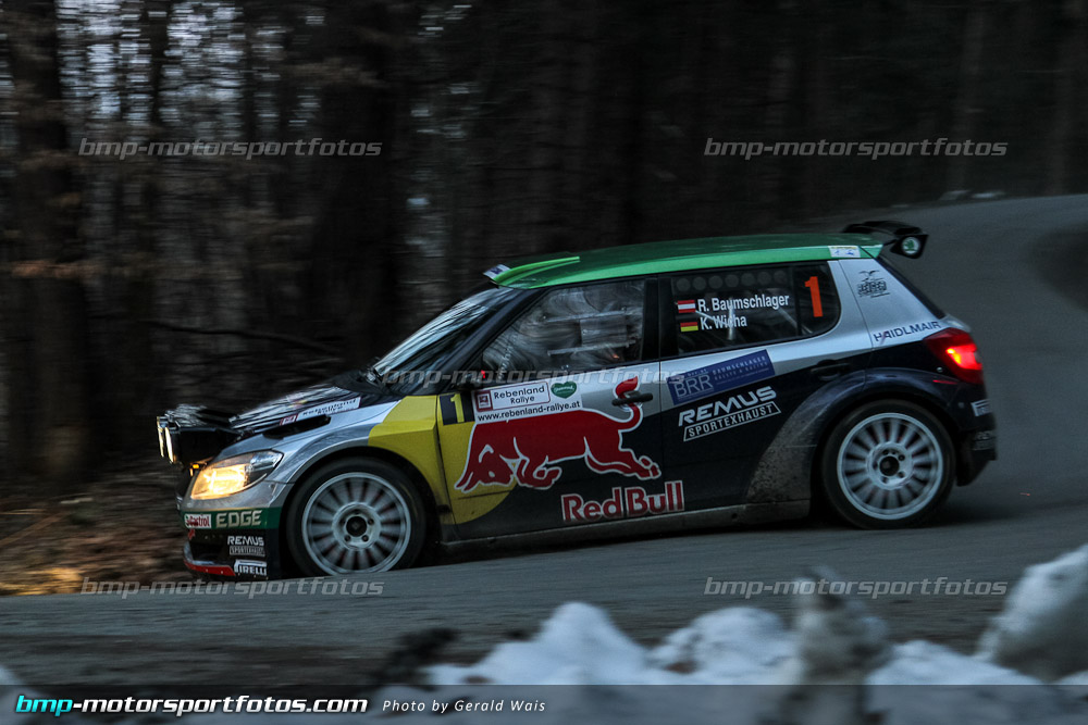 Gerald Wais - Freitag - 130322-Reben-03-GW-4591