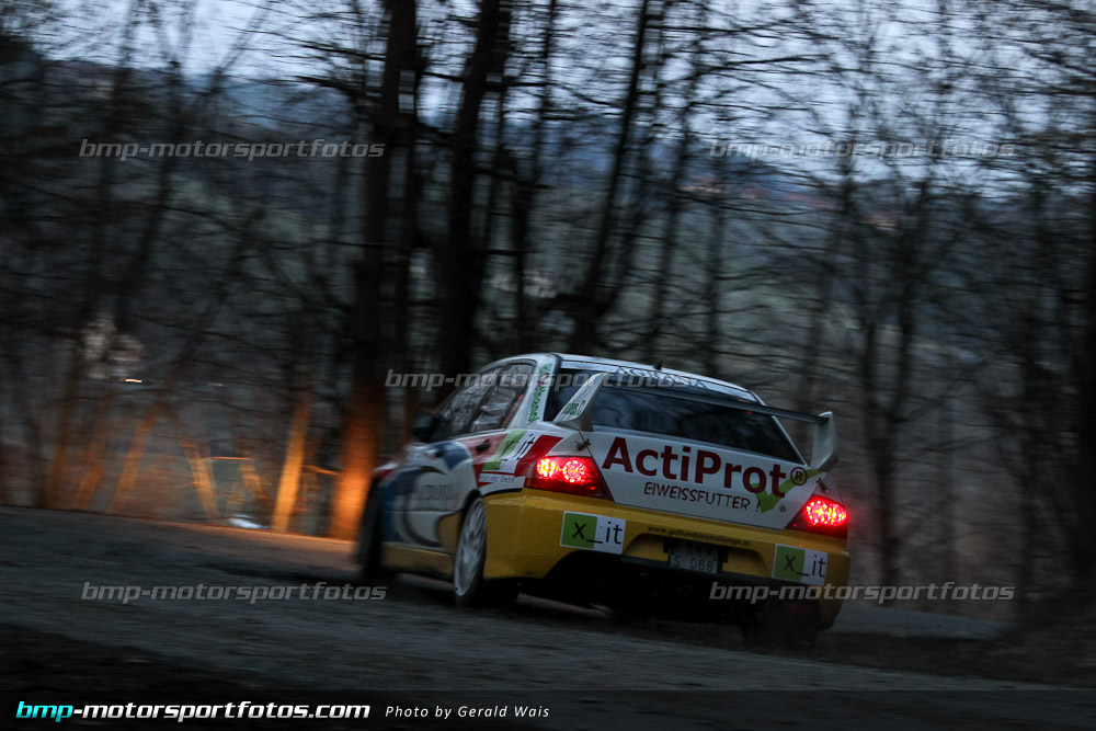 Gerald Wais - Freitag - 130322-Reben-03-GW-4633