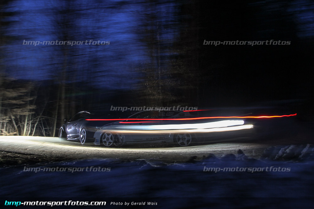 Gerald Wais - Freitag - 130322-Reben-03-GW-4781