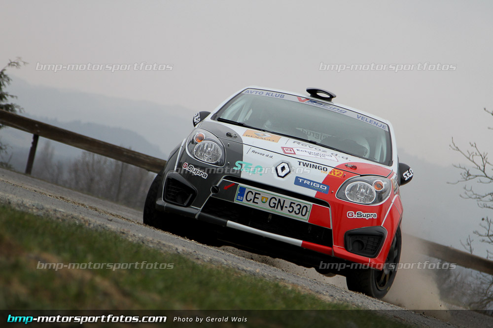 Gerald Wais - Samstag - 130323-Reben-07-GW-5056