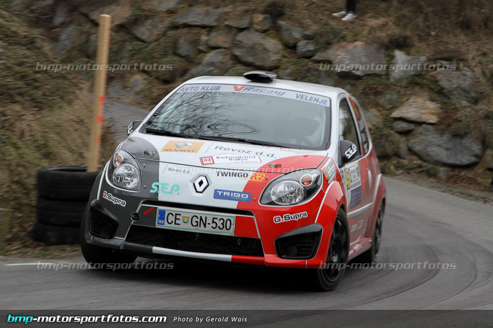 Gerald Wais - Samstag - 130323-Reben-08-GW-5464