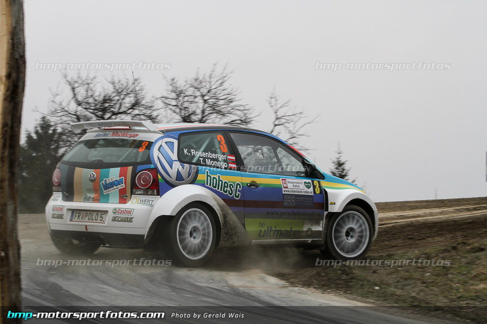 Gerald Wais - Samstag - 130323-Reben-13-GW-5914