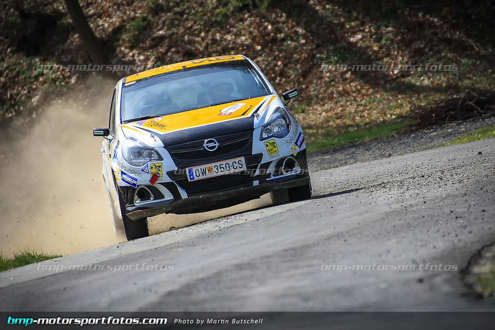 Samstag - SP 9 - 140322-Reben-09-MB-2881