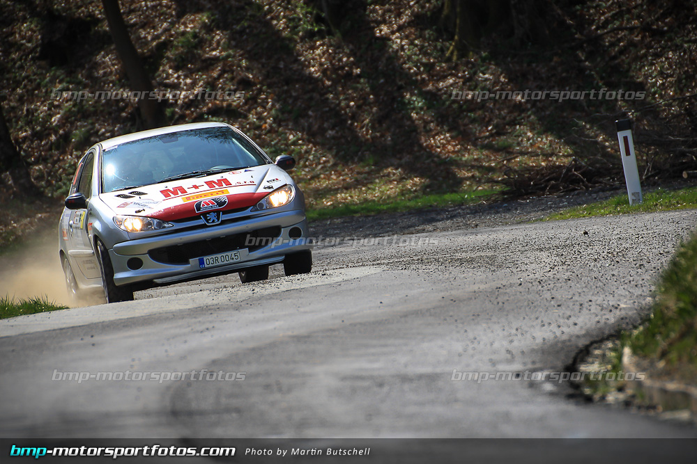 Samstag - SP 9 - 140322-Reben-09-MB-3051