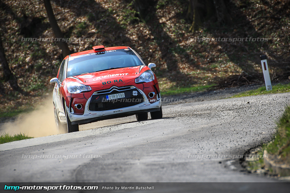 Samstag - SP 9 - 140322-Reben-09-MB-3060