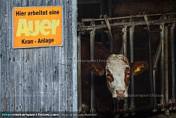 Testtag Klepatsch001