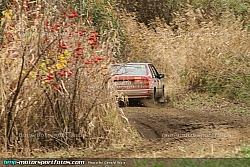 131109-Wald4-10-GW-9448