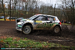 131109-Wald4-13-MB-9294