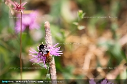 130809-weiz-02-GW-3783