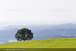 140809-Weiz-09-BB-2131