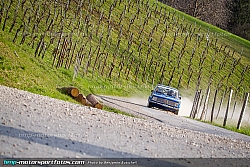 140322-Rebenland-12-BB-3121
