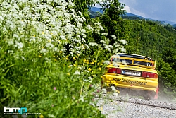 160604-Kärnten-04-BB-8896