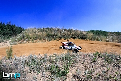 AX Rappolz167