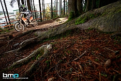 161023-Granitbeisser-01-BB-3127