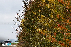 161008-Herbst-06-BB-1300