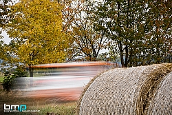 161008-Herbst-06-BB-1468