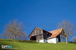 160318-Reben-01-BB-0741