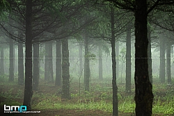 180608-Sardegna-00-Benjamin Butschell-3750