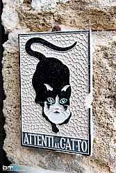 Rally Italia Sardegna 2018271