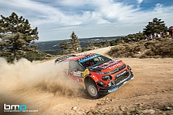 Rally Sardegna 2019 MB1501