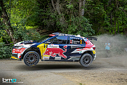 Martin Butschell--54