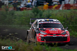 260731-Gerald Wais-7489