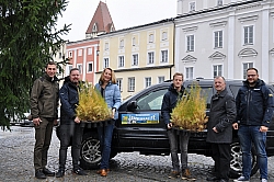 Bäume für Jännerrallye